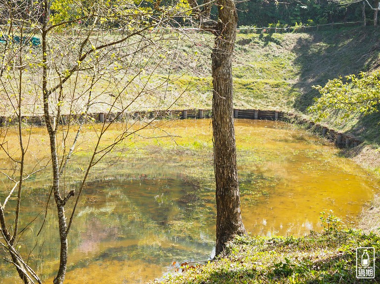 吾山居(原瑪菈棒露營區)