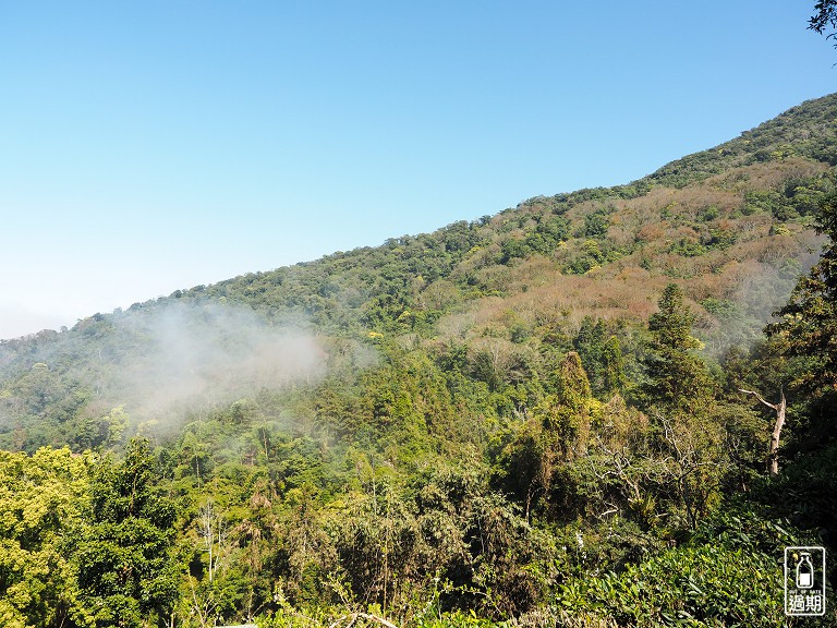 吾山居(原瑪菈棒露營區)