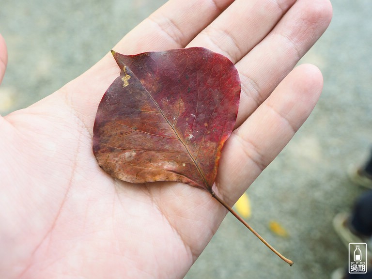 富陽自然生態公園