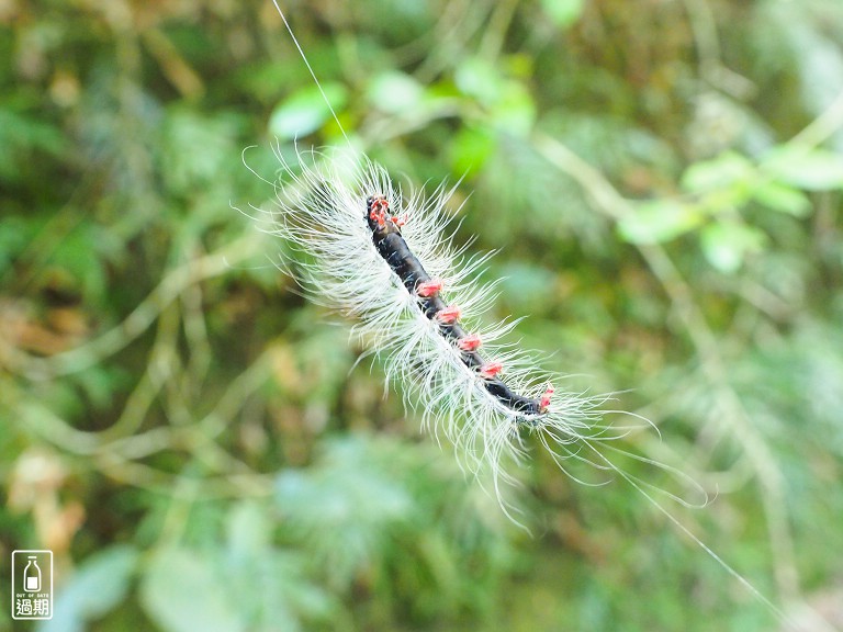 富陽自然生態公園