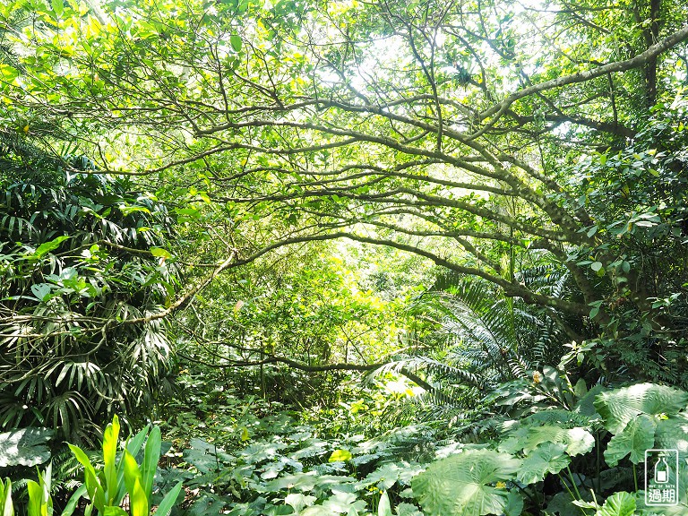 富陽自然生態公園