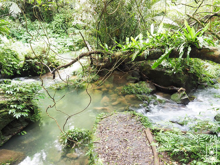 打鐵寮古道