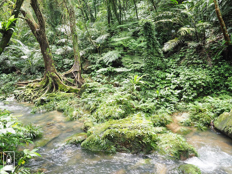 打鐵寮古道