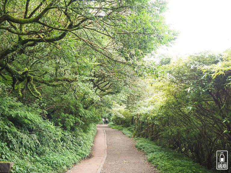 二子坪接大屯山O型路線