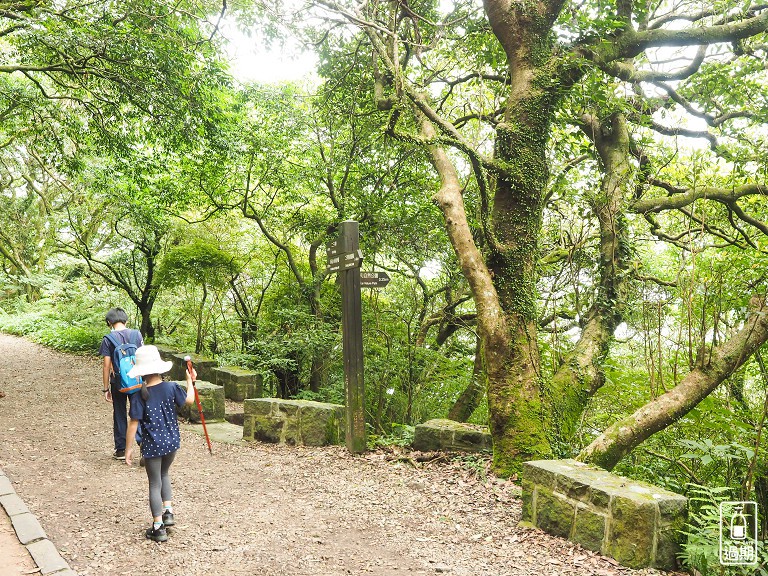 二子坪接大屯山O型路線