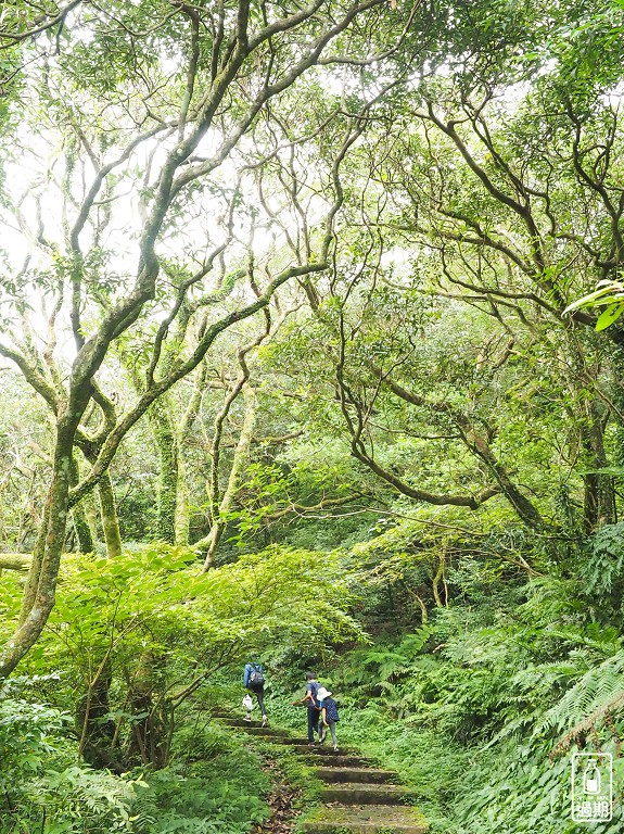 二子坪接大屯山O型路線