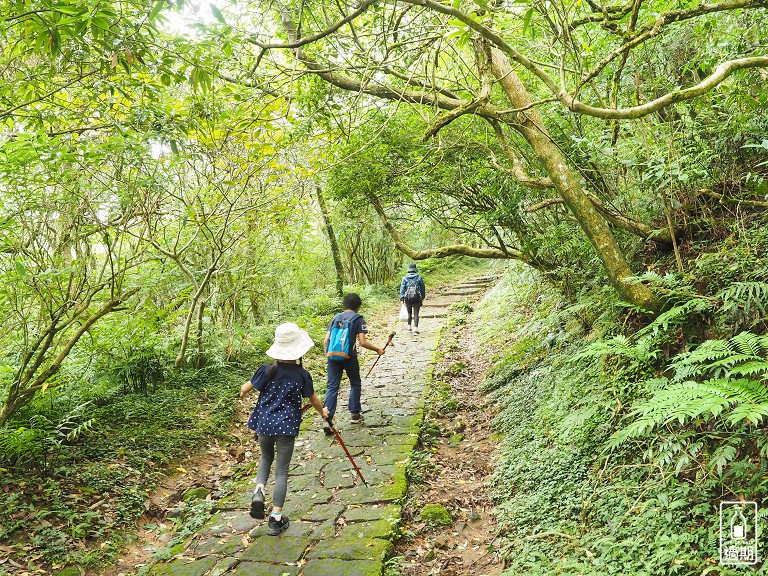 二子坪接大屯山O型路線