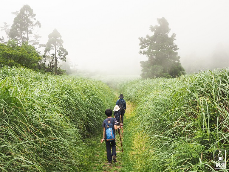 二子坪接大屯山O型路線