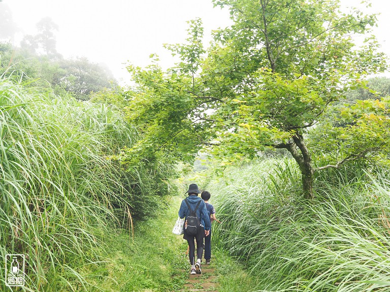 二子坪接大屯山O型路線