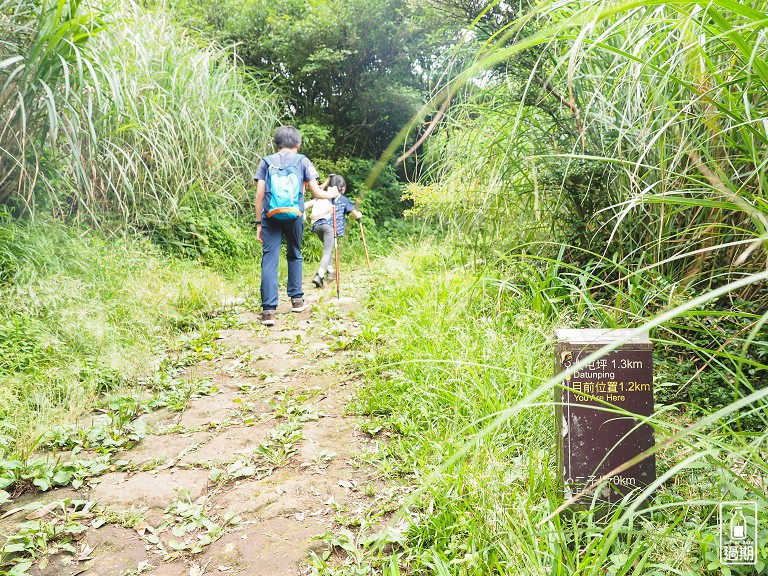 二子坪接大屯山O型路線