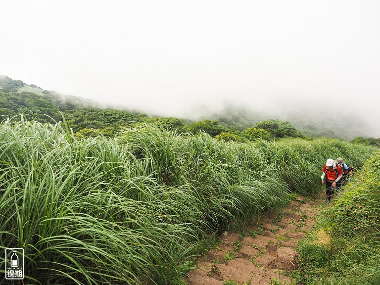 二子坪接大屯山O型路線