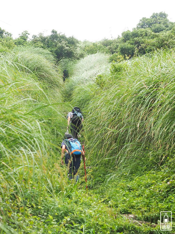 二子坪接大屯山O型路線