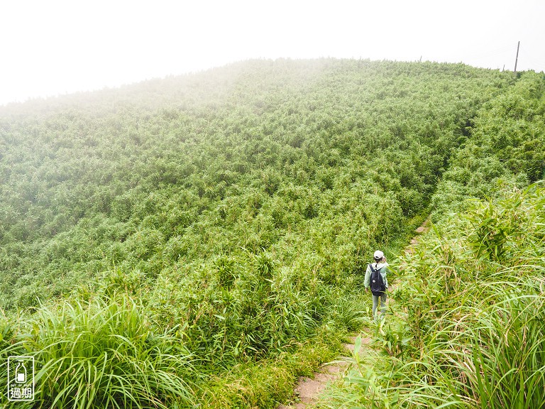 二子坪接大屯山O型路線