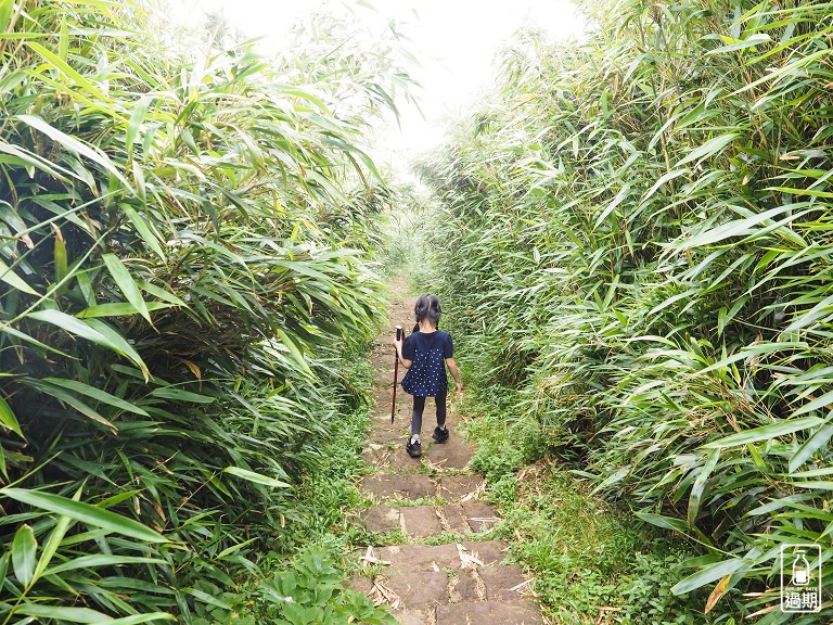 二子坪接大屯山O型路線