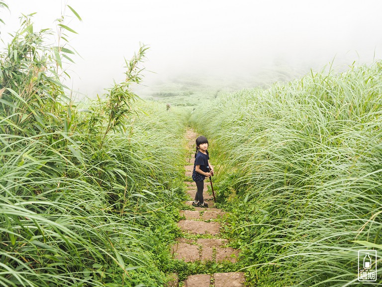 二子坪接大屯山O型路線