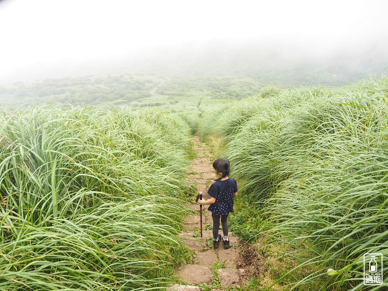 二子坪接大屯山O型路線