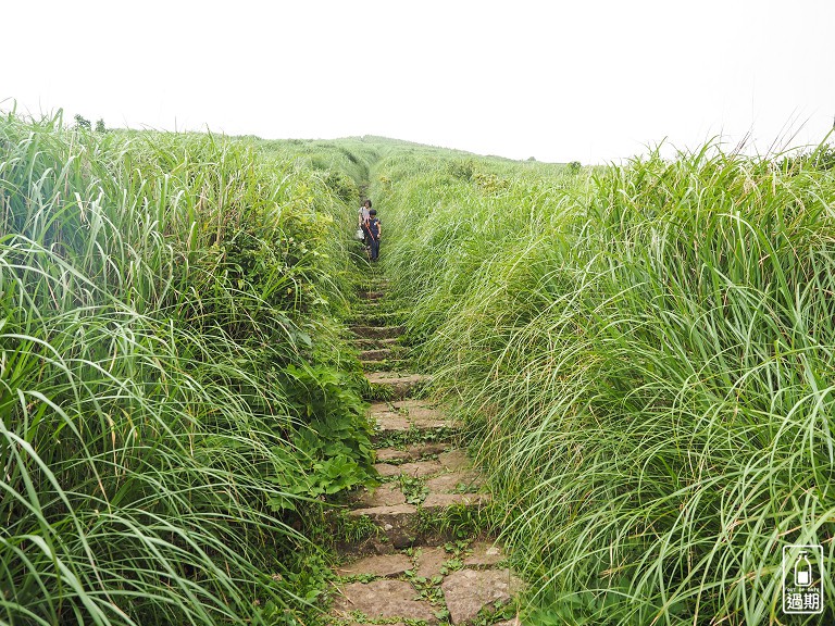 二子坪接大屯山O型路線