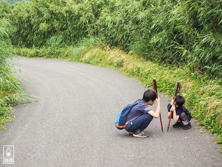 二子坪接大屯山O型路線