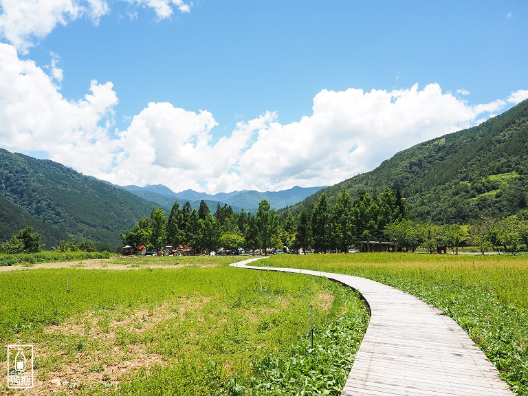 武陵農場露營區