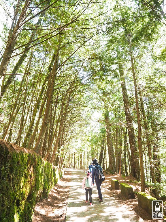 桃山瀑布步道