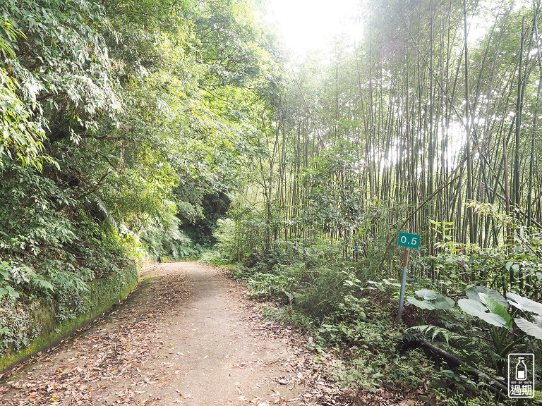 水田林道