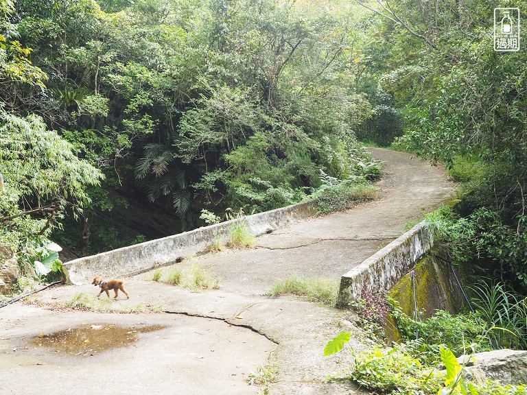 水田林道