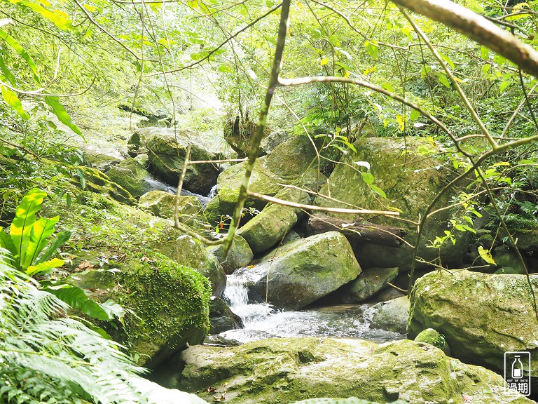 水田林道