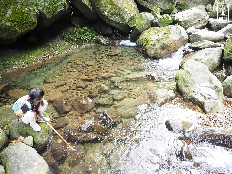 水田林道