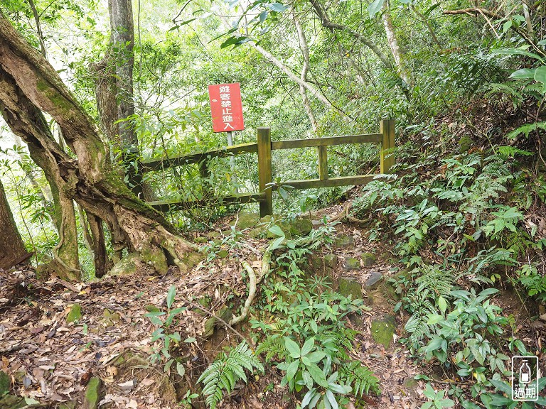 水田林道