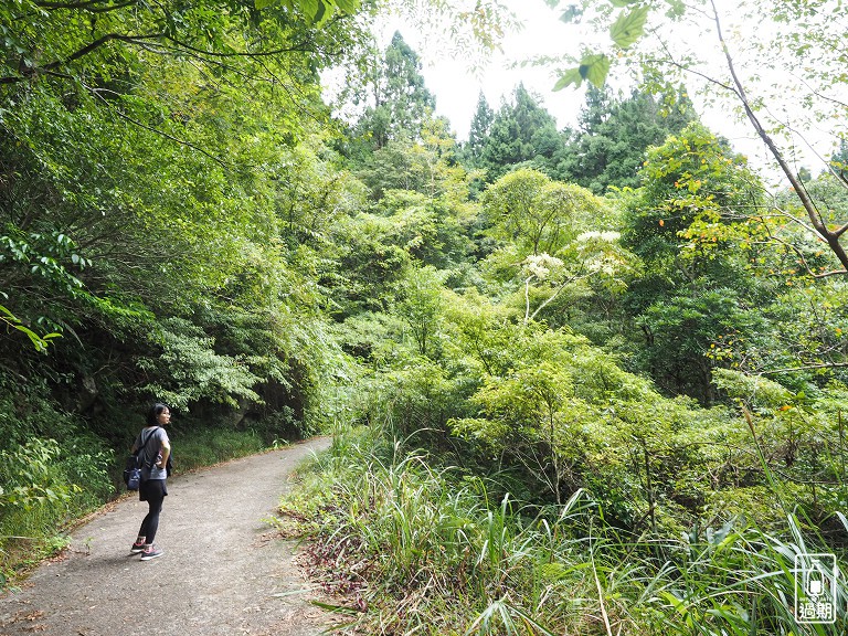 水田林道