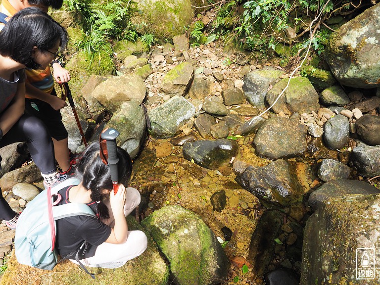 水田林道