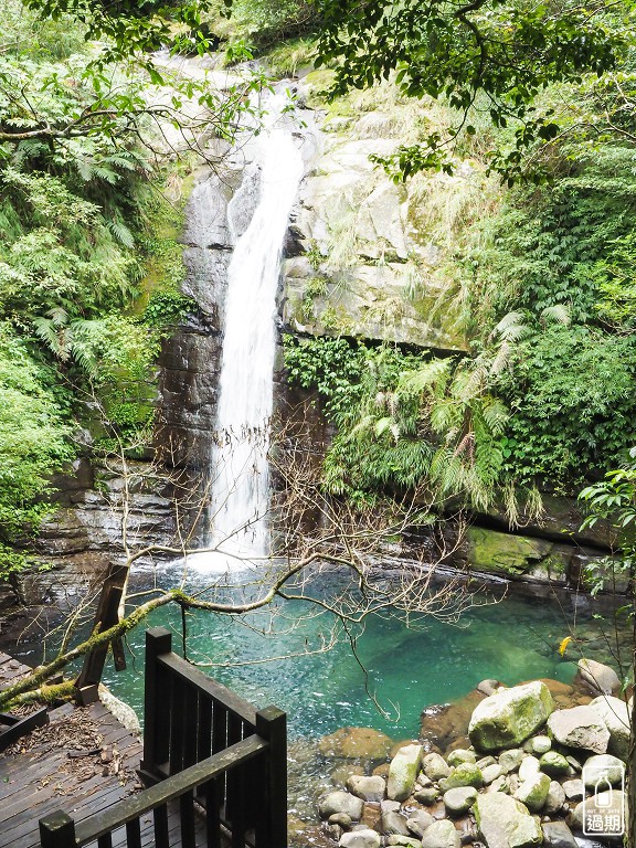 水田林道