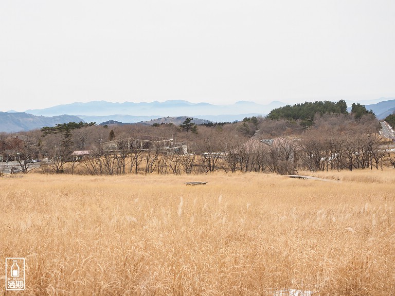 蓼原濕原(タデ原湿原)