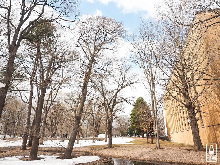 北海道大學