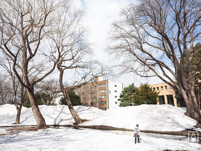 北海道大學