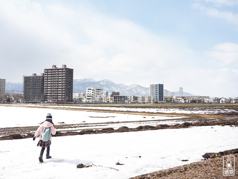 北海道大學