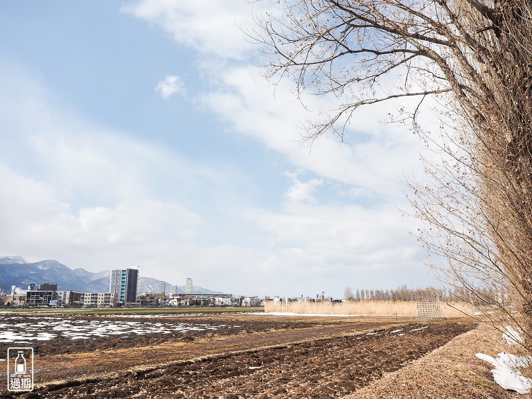 北海道大學