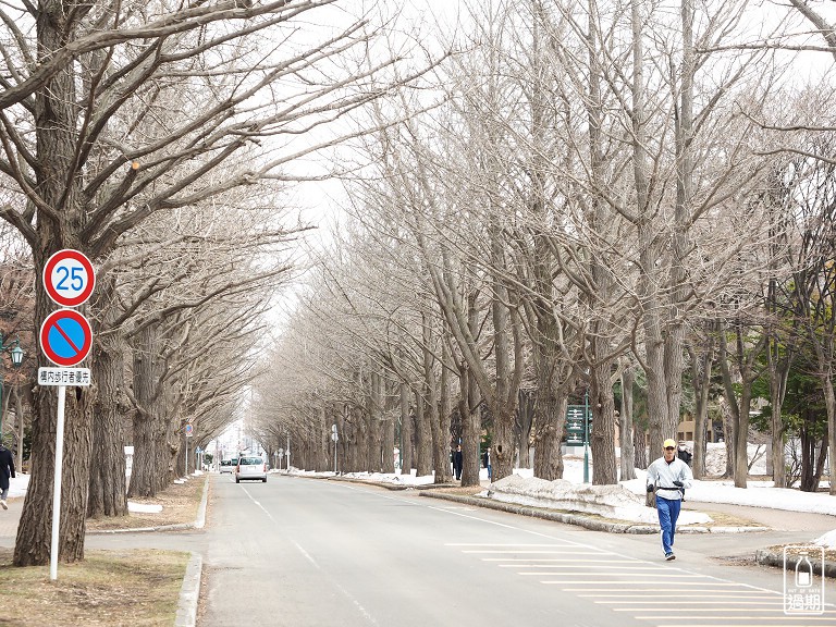 北海道大學