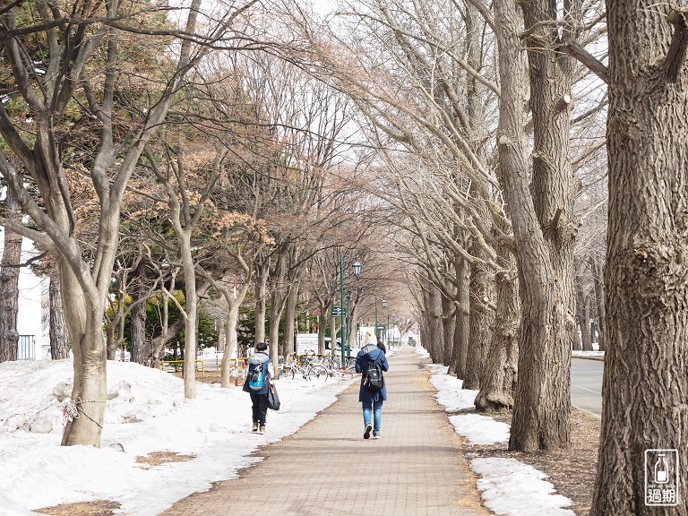 北海道大學