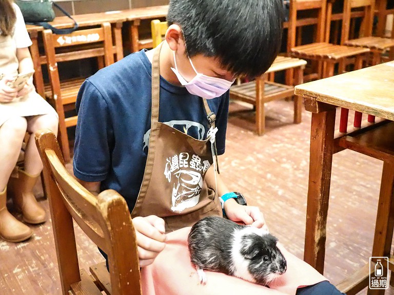 台灣昆蟲館小小動物飼育員