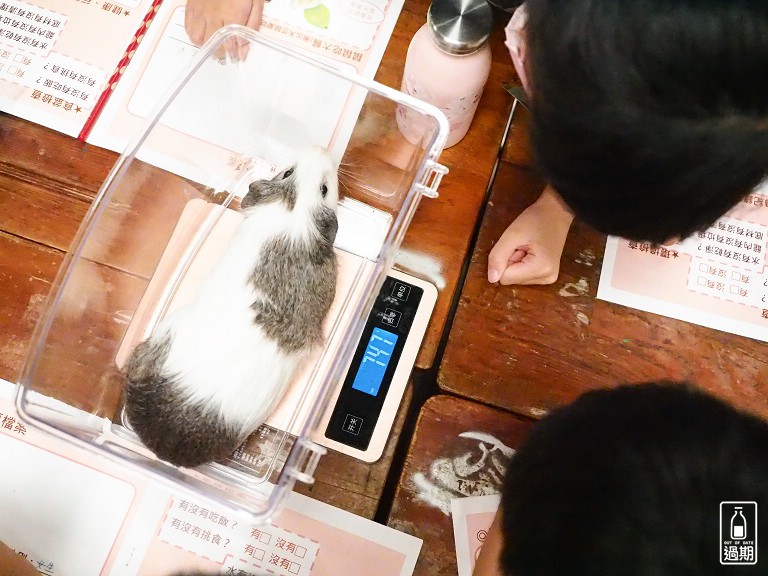 台灣昆蟲館小小動物飼育員