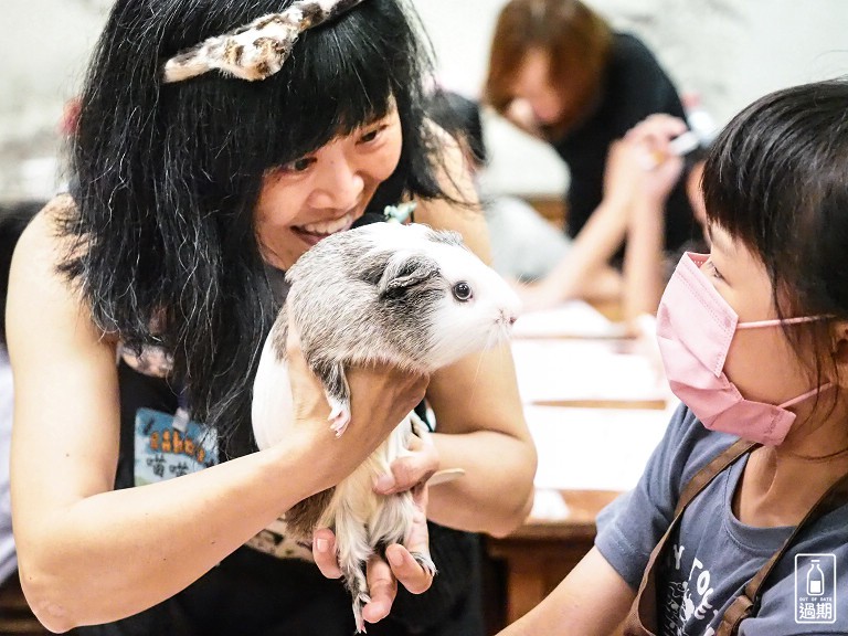 台灣昆蟲館小小動物飼育員