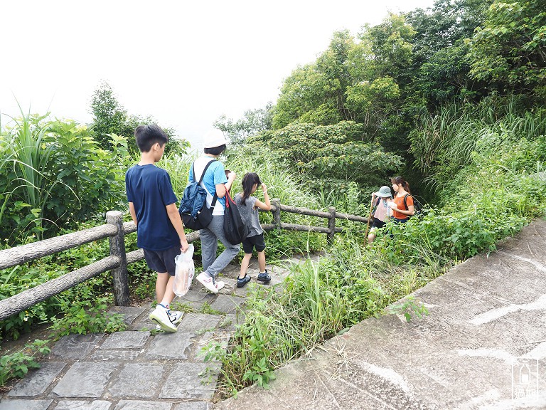 大崎崠登山步道