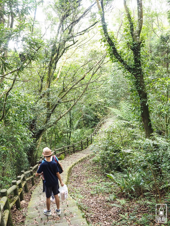 大崎崠登山步道