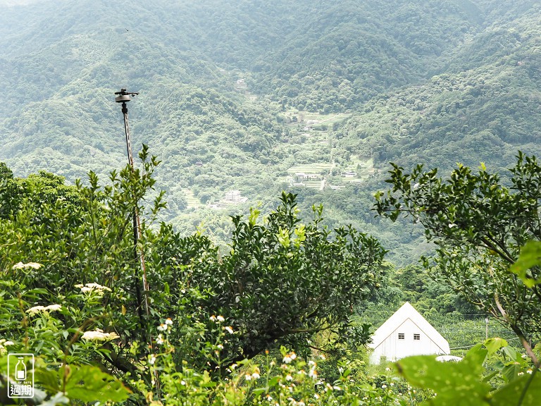 大崎崠登山步道