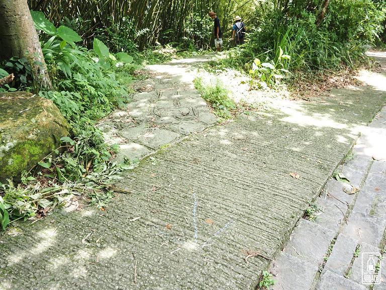 大崎崠登山步道