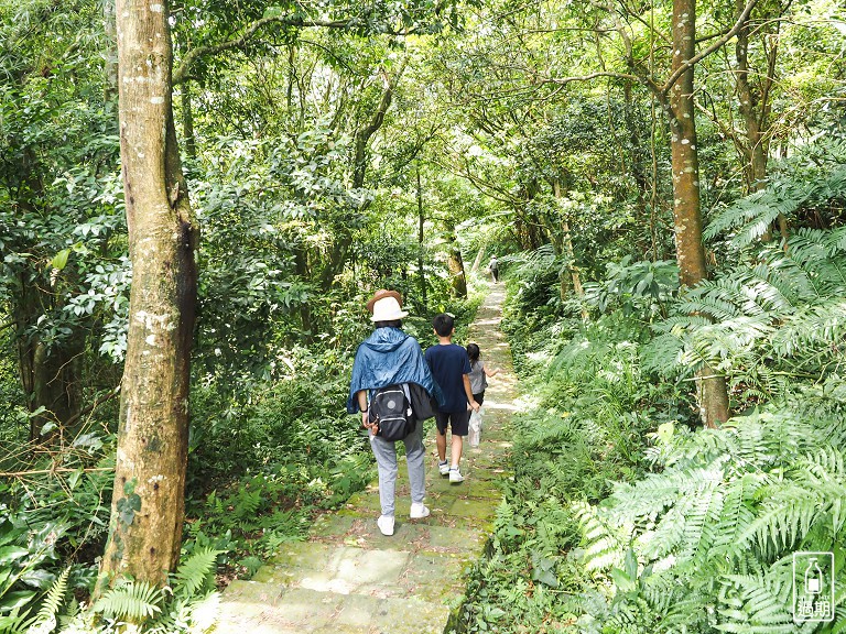 大崎崠登山步道