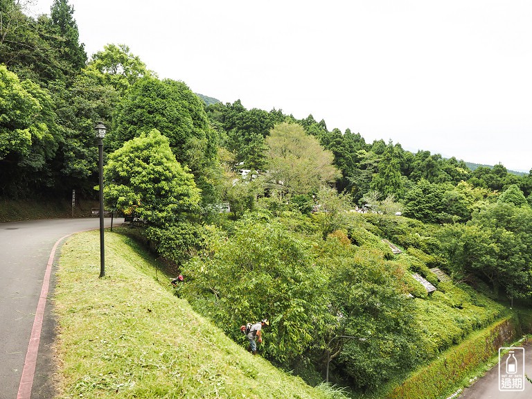 東眼山國家森林遊樂區