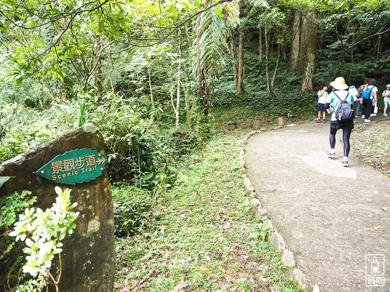 東眼山國家森林遊樂區