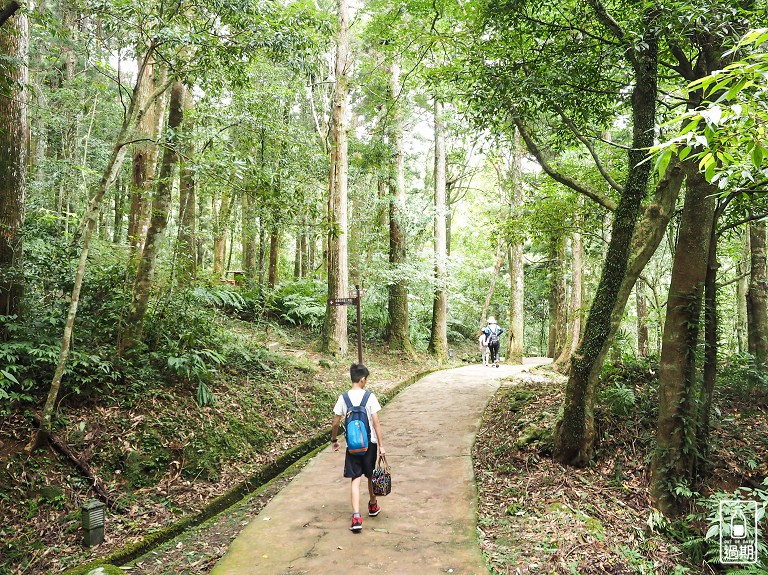 東眼山國家森林遊樂區